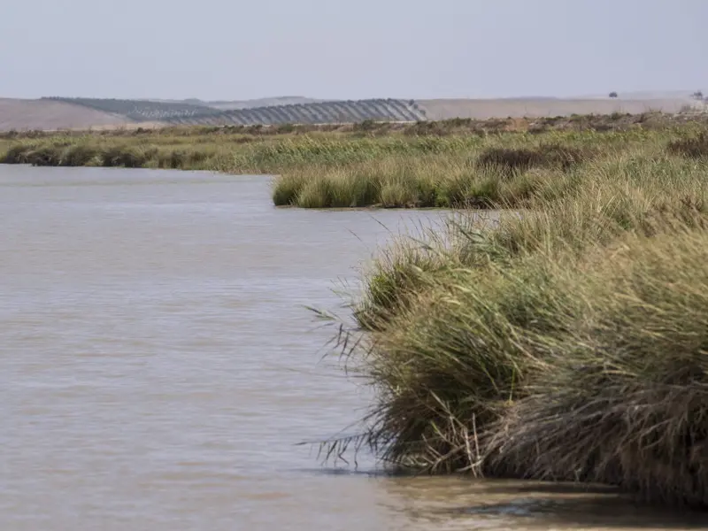 La conexión entre desarrollo humano y naturaleza según María Gálvez