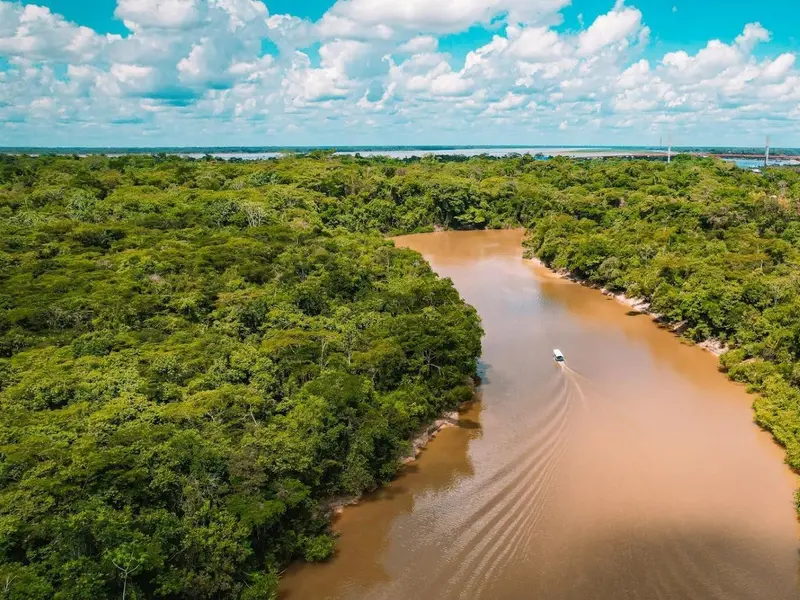 La Amazonía peruana implementa alerta contra la deforestación con apoyo indígena