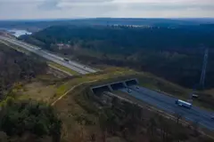 Madrid crea un ecoducto en la M-607 para proteger la fauna de atropellos