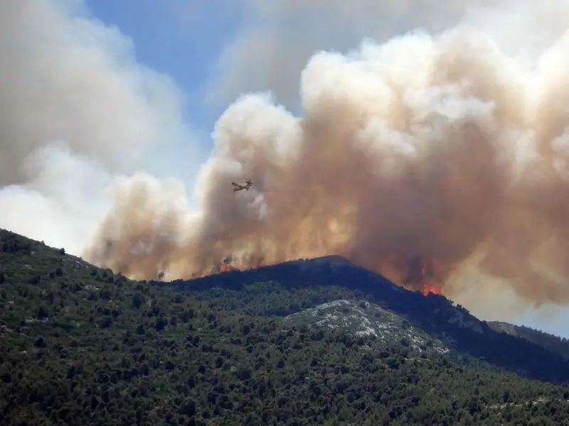 Ecologistas denuncian falta de transparencia en gestión de zonas quemadas en Castilla y León