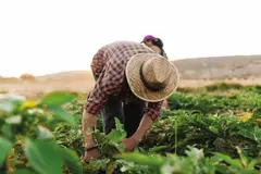 La UE propone un fondo climático para agricultores en la PAC 2028 frente a sequías e inundaciones