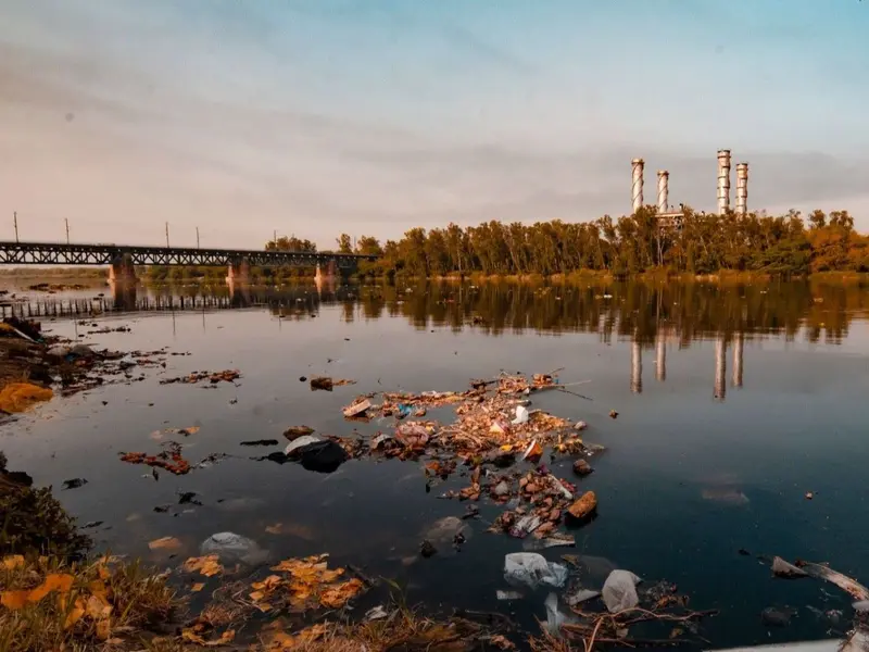 Descubrimiento de ARN en bacteria podría revolucionar la descontaminación ambiental