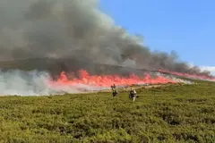 Cataluña implementa gestión forestal para prevenir incendios y proteger bosques