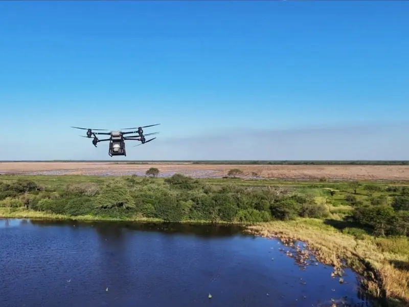 Argentina avanza en reforestación utilizando drones para sembrar árboles
