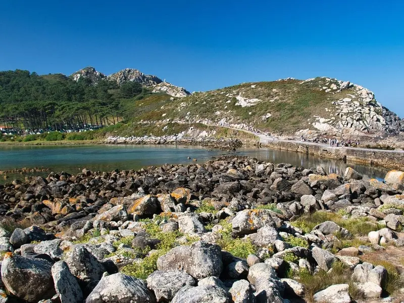 Erradicación de especies invasoras en Cíes y Corrubedo para proteger la biodiversidad
