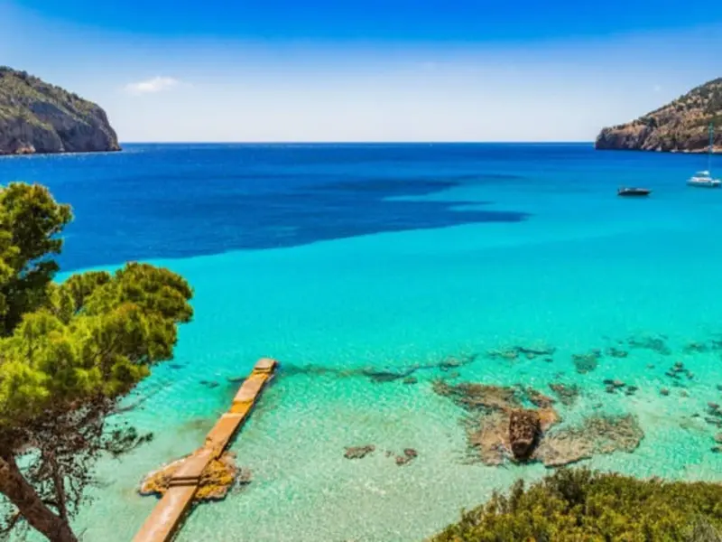 Olas de calor en el Mediterráneo afectan más del 60% del ecosistema marino