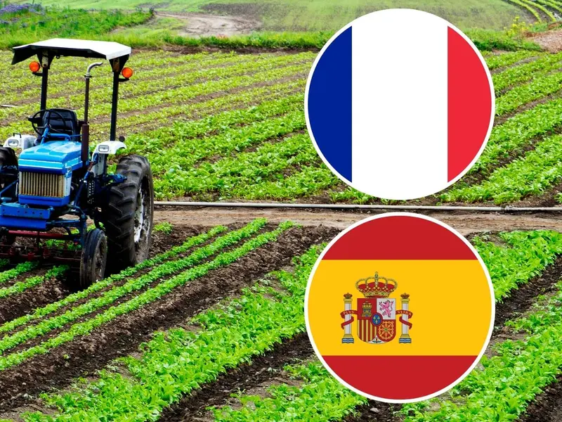 El cambio climático impulsa el cultivo del pistacho en Francia y España