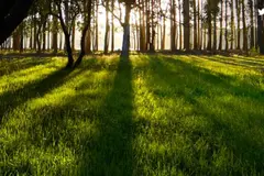 Huelva se establece como líder en reindustrialización sostenible en España