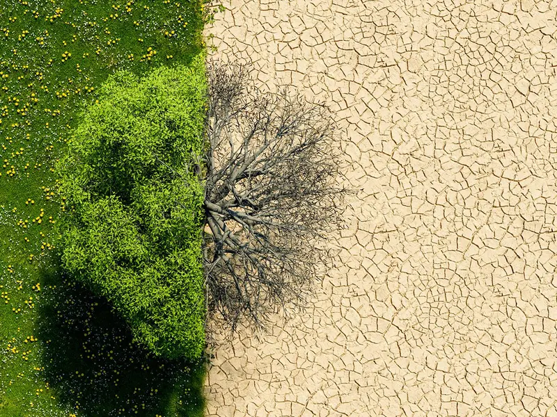 La preocupación de los españoles por el cambio climático cae un 25% desde 2019