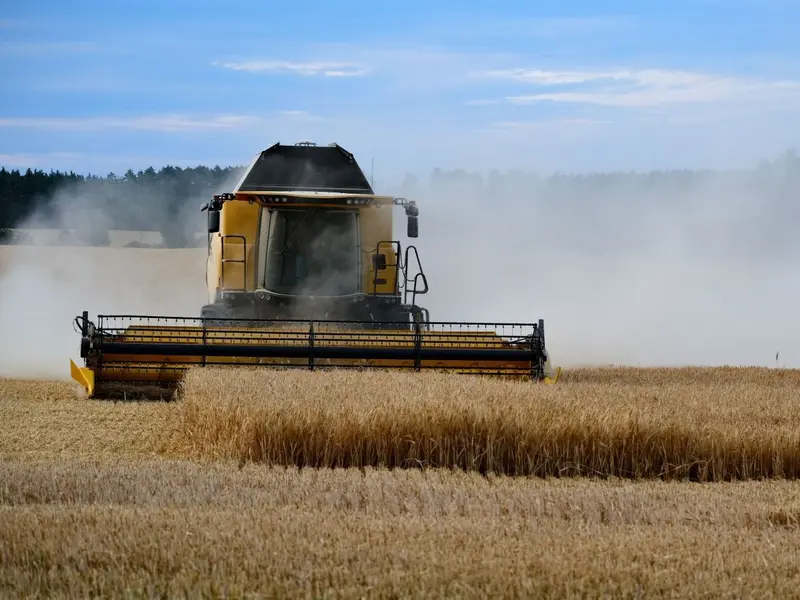 La bioeconomía circular: clave para transformar el campo y la industria