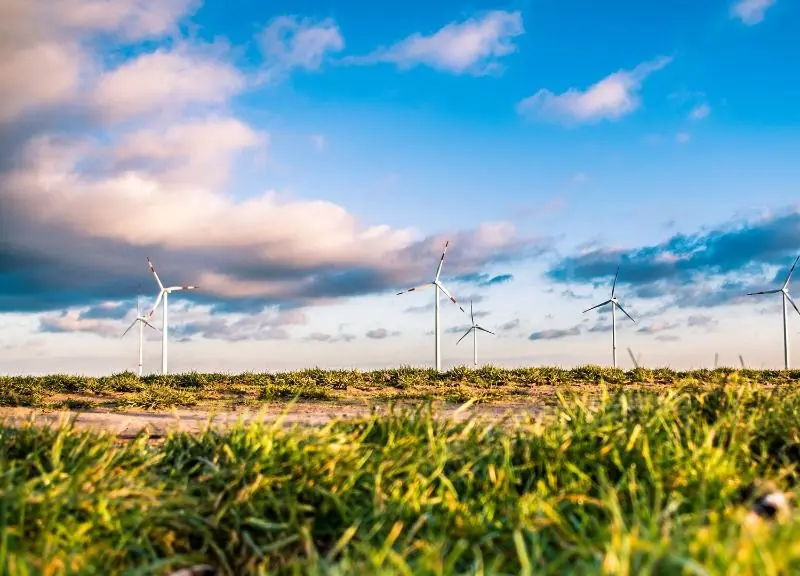 Suecia lidera el consumo de energía renovable en la UE con un 65,4%