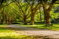 Estrategias urbanas reducen el calor en Barcelona hasta 1,26 °C