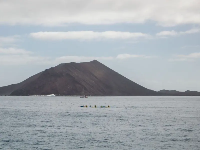 Descubrimientos marinos en Canarias enriquecen la comprensión de la biodiversidad oceánica