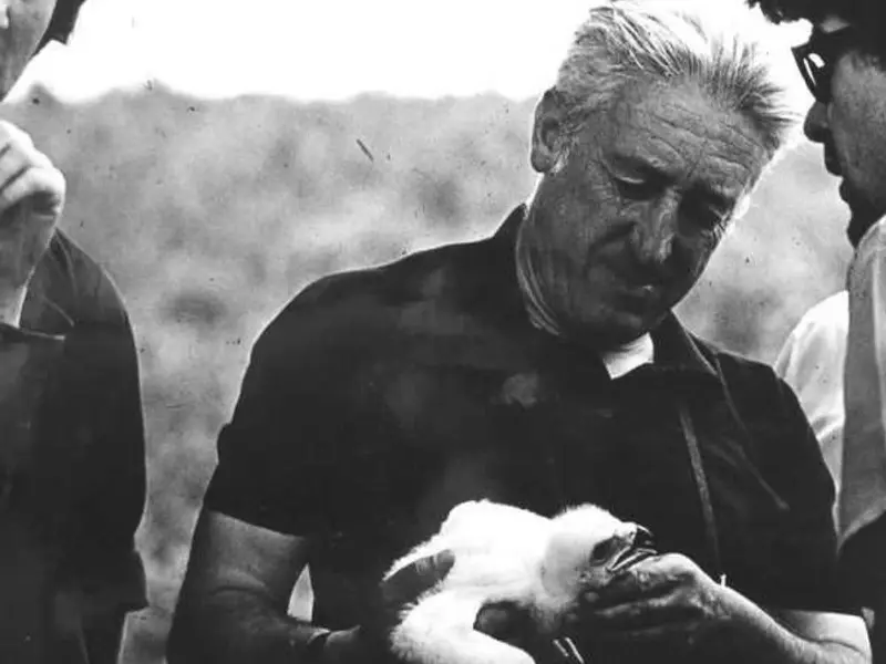 José Antonio Valverde: pionero de la conservación científica y fundador de Doñana