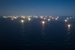 La pesca ilegal de buques chinos daña irreversiblemente ecosistemas marinos