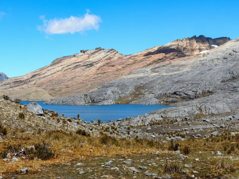 Desaparición del glaciar Cerros de la Plaza en Colombia como efecto del cambio climático