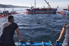 La Eurocámara aprueba nuevas medidas para la sostenibilidad pesquera en el Mediterráneo
