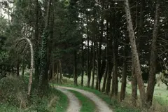 Rutas guiadas gratuitas en Navarra para descubrir su biodiversidad este primavera