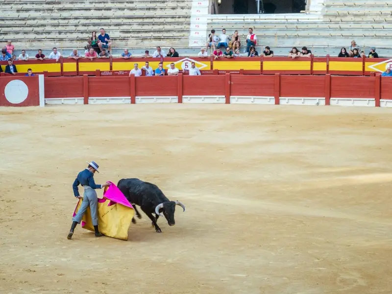 La Fundación Franz Weber investigará el impacto emocional de la tauromaquia en menores