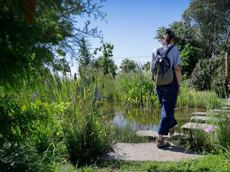 El parque Rosalía Mera de Oleiros, un espacio de biodiversidad urbana