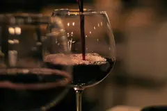 España lidera la producción de vino ecológico en Europa con 164.861 hectáreas