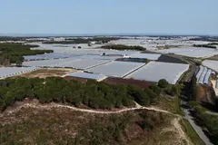 Agricultores de Doñana y la gestión sostenible del agua: un llamado a la colaboración