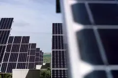 Autorizan planta solar de 137 MW en Extremadura con exigencias ambientales para aves