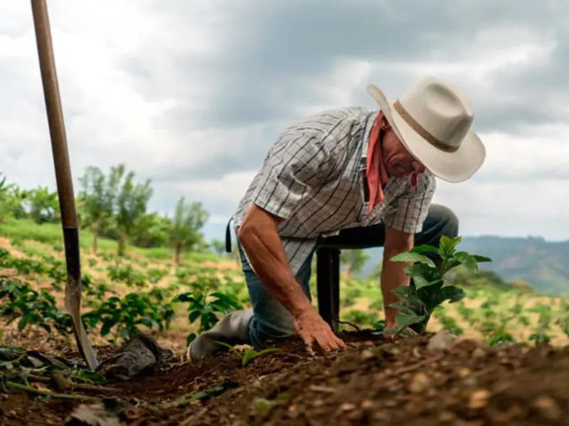Día Mundial de la Lucha Campesina 2026: Soberanía alimentaria y agroecología urgentes