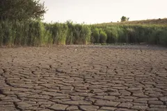 SEO/BirdLife advierte sobre la crisis de ríos y humedales en España