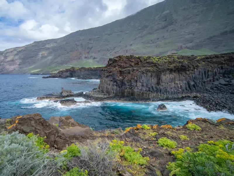 El Hierro crea un banco de semillas para conservar su biodiversidad y especies endémicas