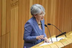 El PSdeG reivindica mejoras en las carreteras AC-183 y AC-173 para Oleiros