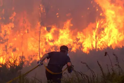 Incendios en España arrasan más de 22.000 hectáreas en 2026