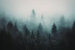 Los bosques nubosos de América Latina podrían desaparecer en 2070 sin acción climática urgente