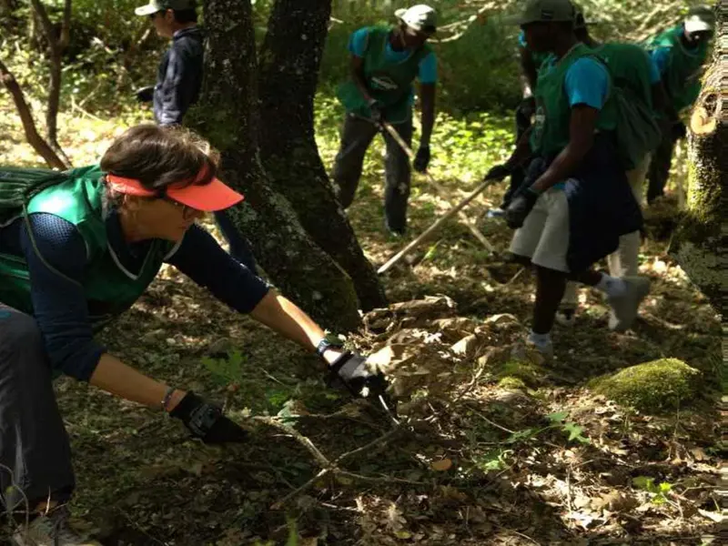 IMAGIN lanza anillos de protección contra incendios en zonas vulnerables de España