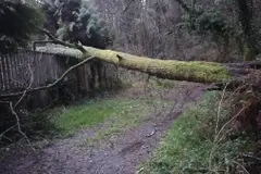 Oleiros sufre incidentes por el temporal: caída de árboles y daños en servicios