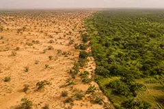 11 países africanos avanzan en la construcción de la Gran Muralla Verde
