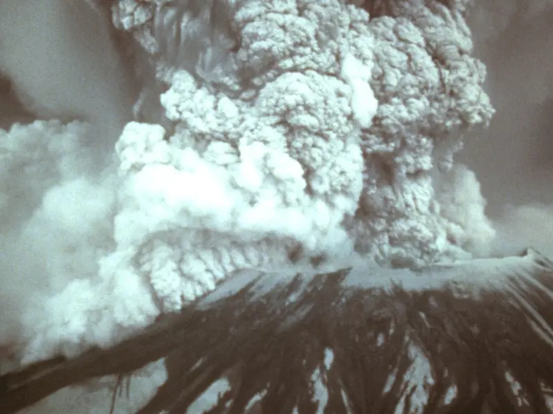 Cómo las tuzas ayudaron a restaurar ecosistemas tras la erupción del Mount St. Helens