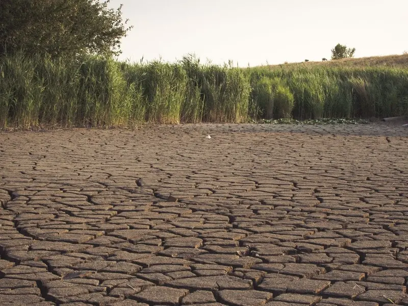 SEO/BirdLife advierte sobre la crisis de ríos y humedales en España