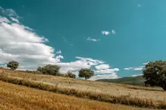 El Tribunal Supremo anula el plan de calidad del aire por ozono en Castilla y León