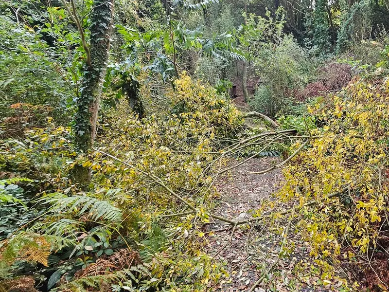 Usuarios del Bosque dos Veciños denuncian mal estado de los accesos y pasarelas