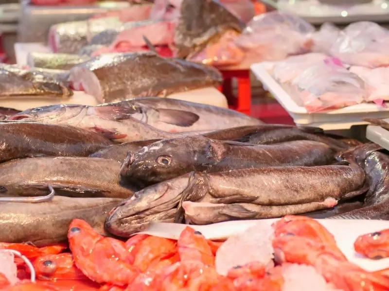 Estudio revela migración de bisfenoles en envases de alimentos hacia pescado