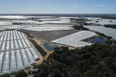 El proyecto FARO Doñana impulsa la agricultura sostenible en Andalucía