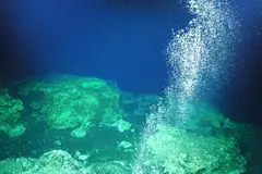 Investigación revela cómo la tectónica impulsa microbios del fondo marino a la superficie