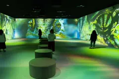 La exposición 'Somos Naturaleza' en CaixaForum destaca la recuperación de la biodiversidad