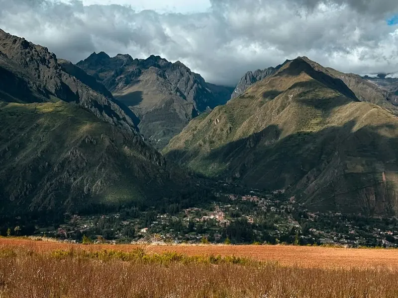 Construcción de zanjas en Chile pone en riesgo la fauna del Altiplano y corredores ecológicos
