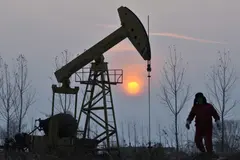 La bioeconomía territorial, clave ante la crisis energética global