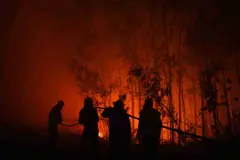 España se prepara para un verano de alto riesgo por incendios forestales