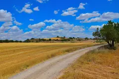 El MITECO aprueba un plan para transformar 25 municipios rurales en Castilla-La Mancha
