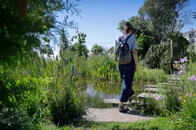 El parque Rosalía Mera de Oleiros, un espacio de biodiversidad urbana