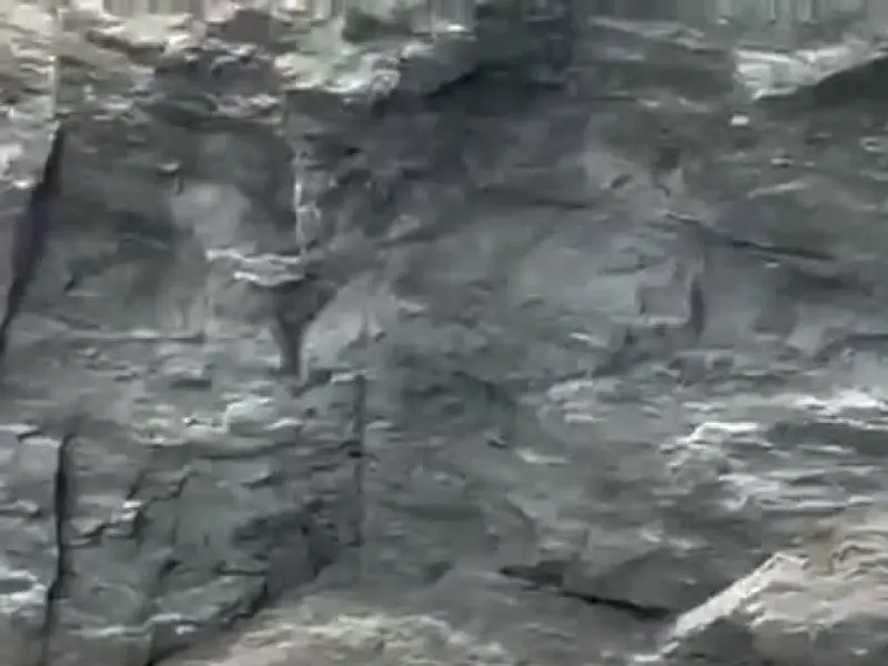Una cría de tiburón sorprende a bañistas en la cala de Mera
